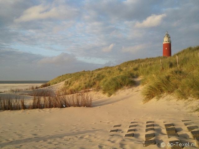 Texel 118